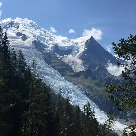 Апартаменты Le Mallory Шамони